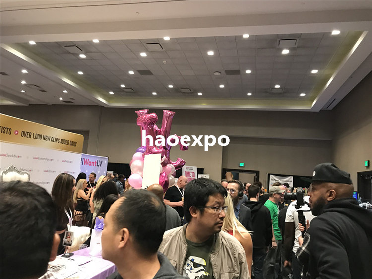 AVN2019現場情況